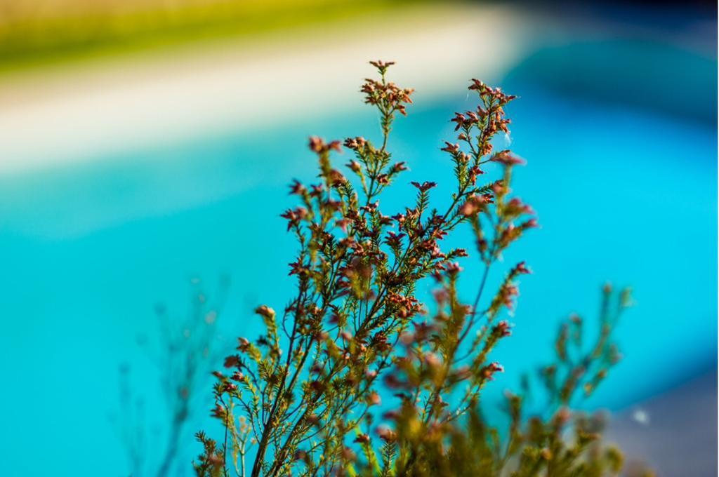 Quinta Do Cerqueiral Villa Аркос де Валдевез Екстериор снимка